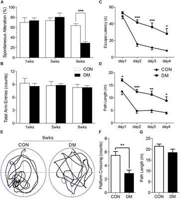 Analysis of Metabolic Alterations Related to Pathogenic Process of Diabetic Encephalopathy Rats